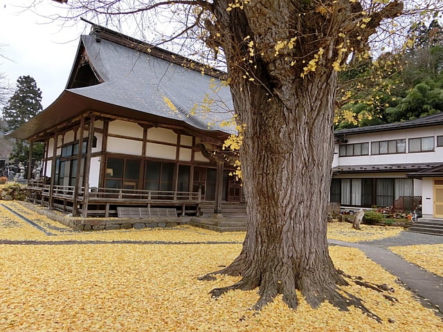 黄色いジュウタン