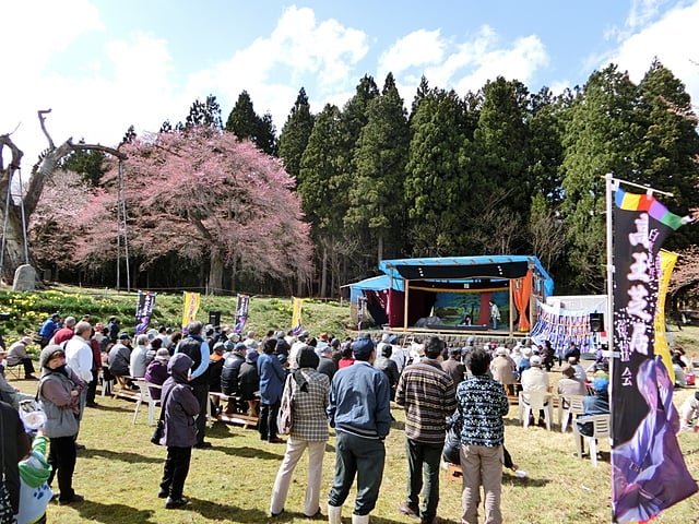 白鷹町　釜の越し桜　高玉芝居